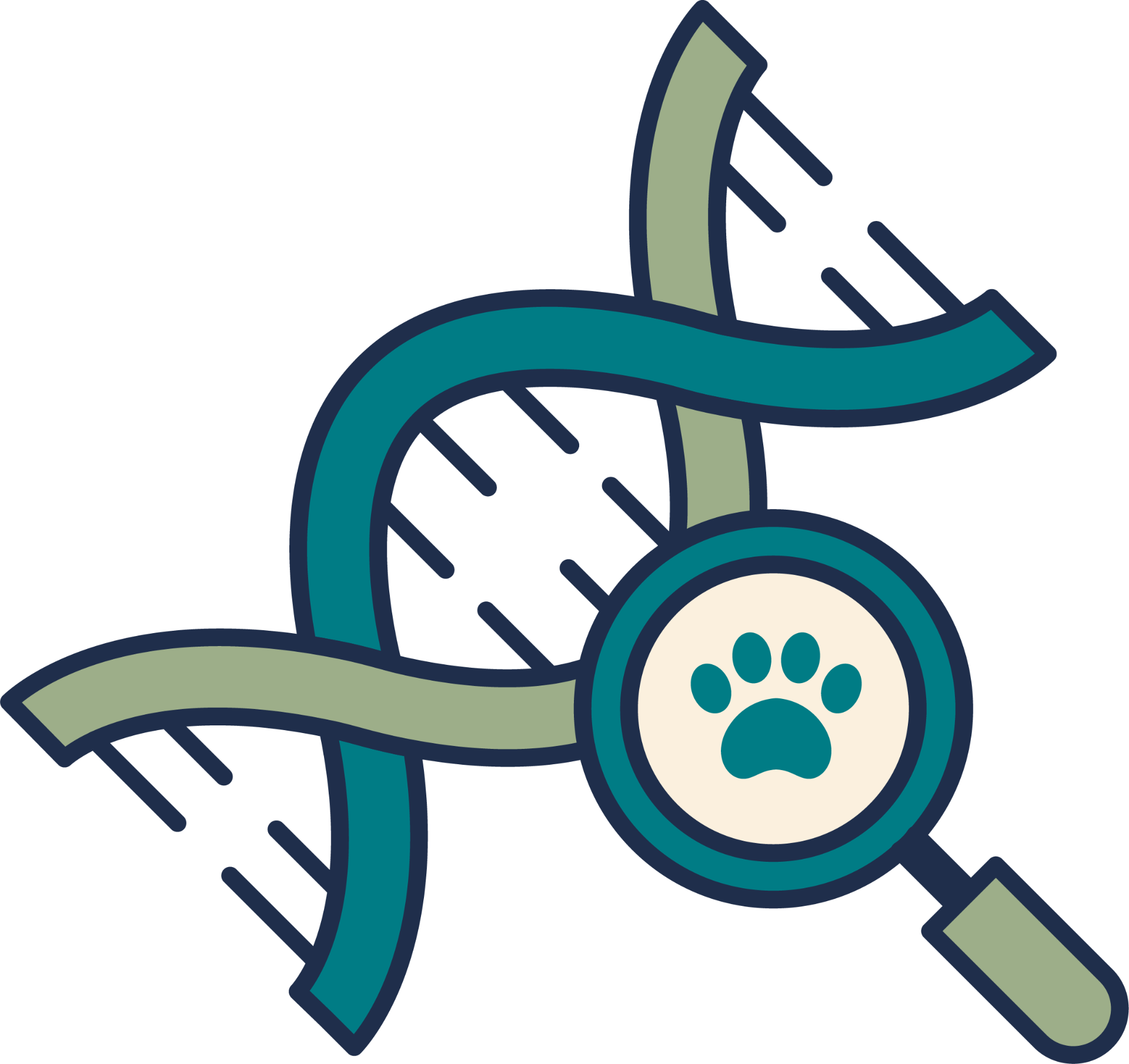 DNA helix with magnifying glass and paw print
