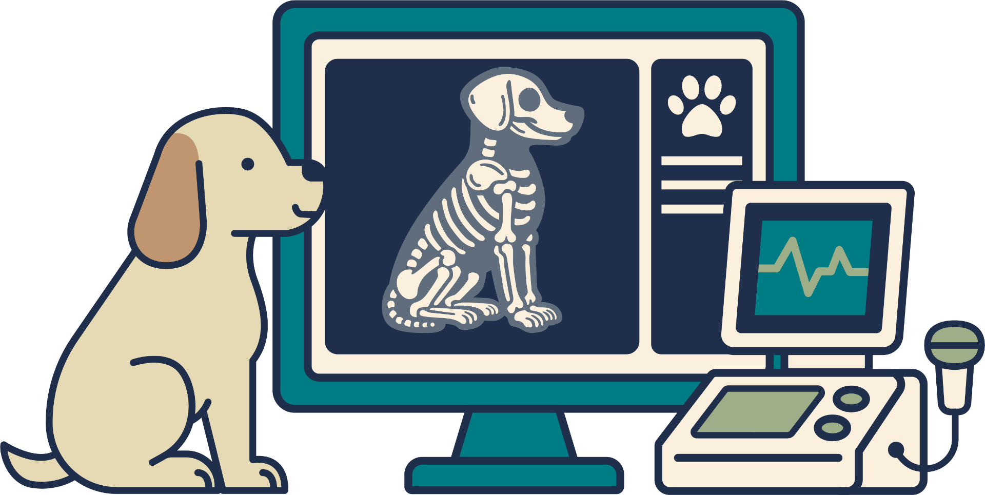 Dog viewing an x-ray on a monitor