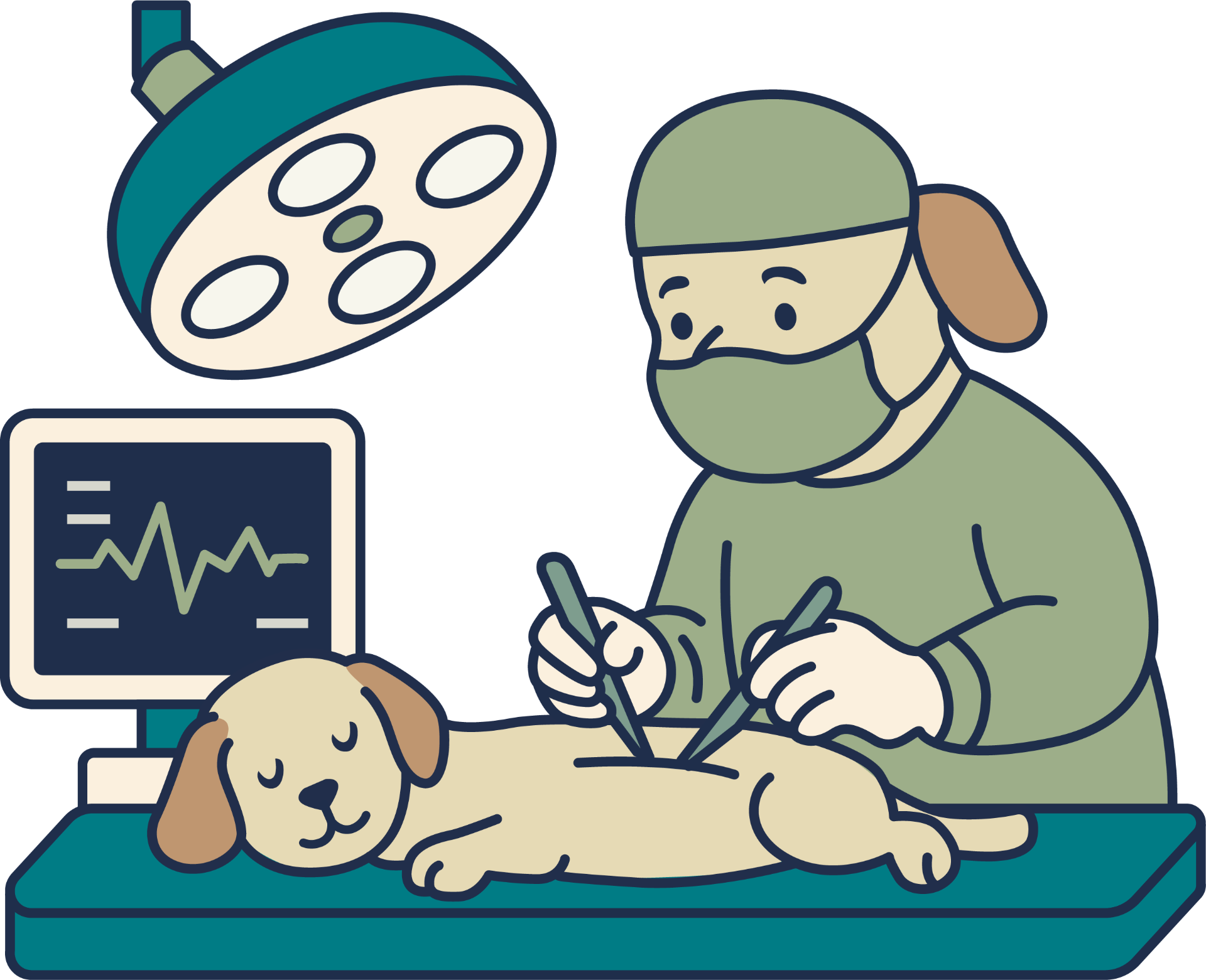 Veterinary surgeon performing surgery on a dog