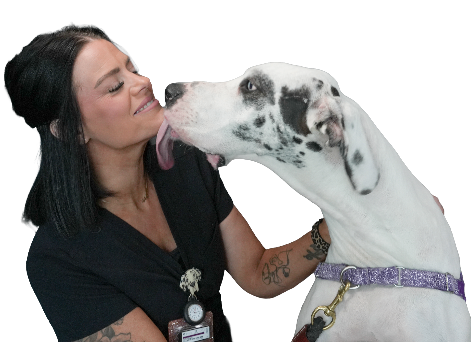 Veterinary team member with a Great Dane patient